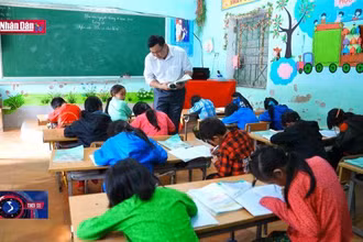 Câu chuyện văn hóa: Trái tim người thầy