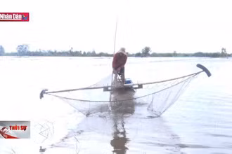 Người nghèo Long An ấm lòng mùa nước nổi