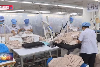 Phấn đấu 100% người bị tai nạn lao động được hưởng chế độ theo quy định