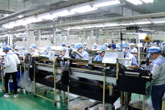 [Video] Dự báo GDP Việt Nam năm 2025 có thể tăng 6,8%