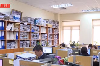 [Video] Dự kiến giảm 20% biên chế ở đơn vị không trực tiếp thực hiện sắp xếp 