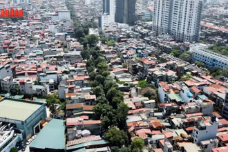 [Video] Dịch chuyển, chặt hạ 357 cây xanh để thi công đường Hoàng Cầu - Voi Phục