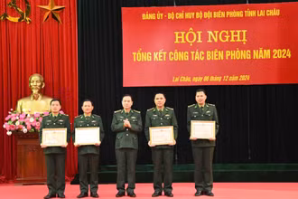 Tặng Bằng khen cho các cá nhân tiêu biểu.