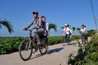 Miền quê Thụy Ninh (huyện Thái Thụy, tỉnh Thái Bình) bình yên trong nắng sớm mùa thu.