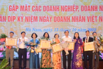 Lãnh đạo tỉnh Hà Nam tặng Bằng khen của Chủ tịch UBND tỉnh Hà Nam cho các doanh nghiệp có thành tích xuất sắc.