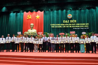 Lãnh đạo tỉnh An Giang tặng Bằng khen cho các nông dân sản xuất, kinh doanh giỏi.