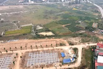 Dự án chậm triển khai.