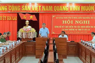 Quang cảnh buổi làm việc.