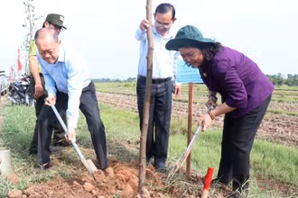 Lãnh đạo tỉnh Bến Tre trồng cây tại các tuyến đường trên địa bàn huyện Ba Tri.