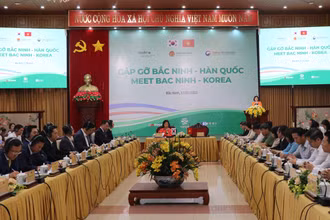 Toàn cảnh Hội nghị.