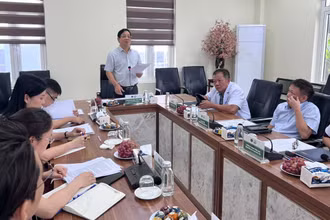Phó Giáo sư, Tiến sĩ Lương Ngọc Khuê, Phó Chủ tịch Hội đồng y khoa Quốc gia, Cục trưởng Cục quản lý Khám chữa bệnh phát biểu tại buổi làm việc.