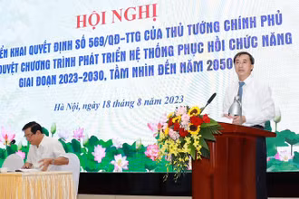 Giáo sư, Tiến sĩ Trần Văn Thuấn, Thứ trưởng Y tế phát biểu tại hội nghị.
