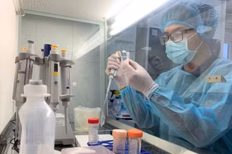 Các nhà khoa học nghiên cứu chẩn đoán SARS-CoV-2. 