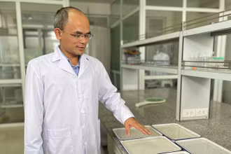 Tiến sĩ, bác sĩ Nguyễn Văn Dũng, Trưởng khoa Côn trùng, Viện Sốt rét-Ký sinh trùng-Côn trùng Trung ương.