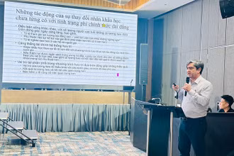 Chuyên gia của Ngân hàng Thế giới (WB) chia sẻ những thách thức của già hóa dân số đối với hệ thống an sinh xã hội. (Ảnh TRUNG TÂM)