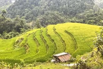 Cảnh quan hùng vĩ và tươi đẹp của vùng Đông Bắc luôn thu hút khách du lịch.