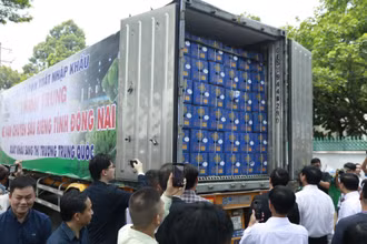 Đưa sầu riêng lên xe container xuất khẩu sang thị trường Trung Quốc.