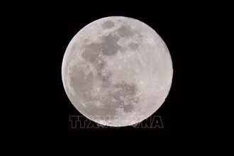 Mặt trăng nhìn từ Los Angeles, Mỹ. Ảnh: AFP/ TTXVN