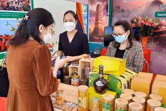 Nhiều sản phẩm du lịch mới của Tam Đảo được giới thiệu cho du khách.