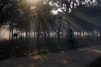 Một người bế con đạp xe trong khi bụi và khói bao phủ không khí dọc theo bờ sông ở New Delhi, Ấn Độ.
