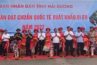 Cắt băng xuất khẩu 3 tấn nhãn đầu tiên. 