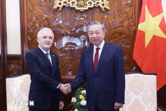 Tổng Bí thư, Chủ tịch nước Tô Lâm tiếp Đại sứ Argentina tại Việt Nam Marcos Antonio Bednarski đến trình Quốc thư. (Ảnh: TTXVN)