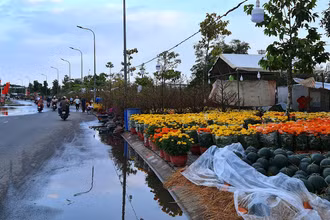 Nước mưa còn ứ đọng nước quanh chợ hoa kiểng thành phố Cà Mau vào chiều 17/1.