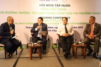 Các chuyên gia trao đổi về Cơ chế điều chỉnh biên giới carbon tại hội nghị tập huấn.