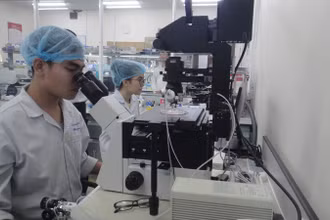 Hoạt động nghiên cứu khoa học tại Đại học Quốc gia Thành phố Hồ Chí Minh.