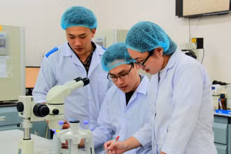 Nghiên cứu khoa học tại Đại học Quốc gia Thành phố Hồ Chí Minh