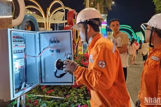 Công nhân kiểm tra kỹ thuật quá trình vận hành điện tại huyện Côn Đảo.
