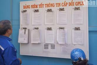 Người dân tập trung đông đi đổi giấy phép lái xe ở Thành phố Hồ Chí Minh trước thời điểm lĩnh vực này chuyển quản lý từ Bộ Giao thông vận tải sang Công an khiến nhiều cơ sở ùn ứ.