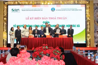Các đơn vị ký biên bản thỏa thuận phát triển vùng nguyên liệu cây ăn quả vùng núi phía bắc.