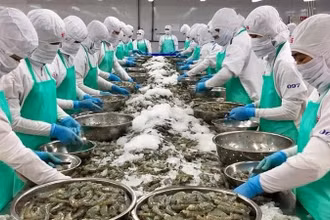 Từ nay đến cuối năm 2025, xuất khẩu nông lâm thủy sản gặp nhiều thách thức.