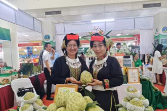Gian hàng quảng bá, giới thiệu na Chi Lăng - sản vật bậc nhất xứ Lạng từ vách núi đá vôi và các nông đặc sản, sản phẩm OCOP tỉnh Lạng Sơn.