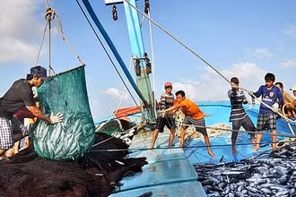 Hiệp hội Chế biến và Xuất khẩu thủy sản Việt Nam (VASEP) vừa ký văn bản gửi Bộ Nông nghiệp và Phát triển nông thôn kiến nghị một số quy định bất cập trong Nghị định 37/2024/NĐ-CP.