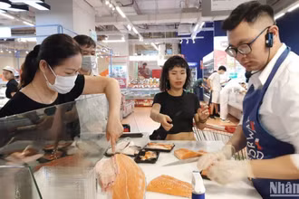 Hải sản Na Uy, đặc biệt là cá hồi ngày càng phổ biến và được nhiều người tiêu dùng lựa chọn.