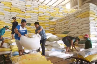 Ngành nông nghiệp và môi trường đưa ra 8 nhiệm vụ hành động để đạt mục tiêu tăng trưởng 4% năm 2025.