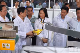 Thủ tướng thăm và làm việc với tập thể lãnh đạo quản lý Nhà máy chế biến lúa gạo, Công ty Trách nhiệm hữu hạn lúa gạo Việt Nam. (Ảnh: HỮU NGHĨA)