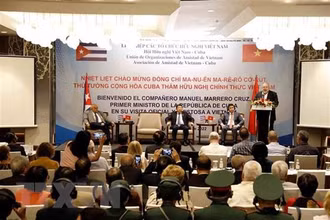 Thủ tướng Cộng hòa Cuba Manuel Marrero Cruz phát biểu tại buổi tiếp. (Ảnh: An Đăng/TTXVN)