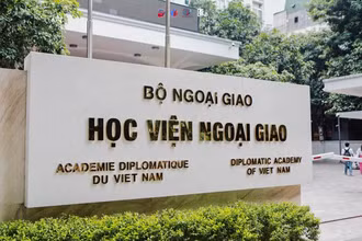 (Ảnh: DAV)
