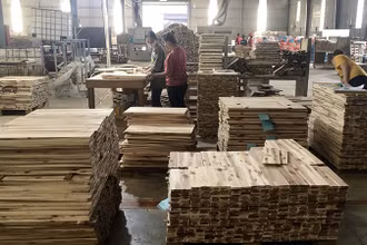 Sản xuất gỗ rừng trồng xuất khẩu tại Công ty TNHH Hoàng Minh (Bình Dương).