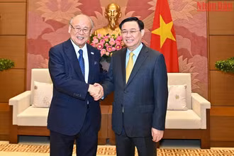 Chủ tịch Quốc hội tiếp Cố vấn đặc biệt Liên minh Nghị sĩ hữu nghị Nhật Bản-Việt Nam