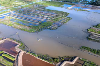 Khu vực triển khai dự án công trình Hồ nước ngọt tại xã Khánh An (huyện U Minh, tỉnh Cà Mau) vừa được điều chỉnh thời gian hoàn thành đến tháng 6/2024.