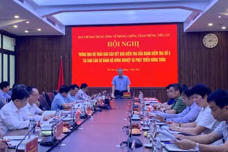 Quang cảnh buổi làm việc.