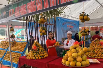 Các gian hàng bày bán Cam Cao Phong và các loại hoa quả khác tại lễ hội.