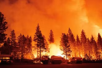 Hiện trường cháy rừng tại Foresthill, California, Mỹ. (Ảnh: AFP/TTXVN)