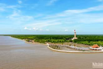 Đất Mũi Cà Mau trải qua hàng trăm năm được hình thành bởi vùng bãi bồi rộng lớn (hay còn gọi là bãi bồi Mũi Cà Mau). Bãi bồi Mũi Cà Mau thuộc địa phận 5 xã: Đất Mũi, Viên An (huyện Ngọc Hiển), Đất Mới (huyện Năm Căn), Nguyễn Việt Khái, Tân Hưng Tây (huyện Phú Tân) do Vườn quốc gia Mũi Cà Mau quản lý.