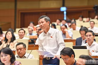 Đại biểu Nguyễn Phi Thường (đoàn Hà Nội) góp ý kiến về phát triển đô thị theo định hướng giao thông công cộng (TOD). (Ảnh: DUY LINH)