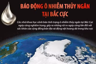 [Infographic] Báo động tình trạng ô nhiễm thủy ngân tại Bắc Cực